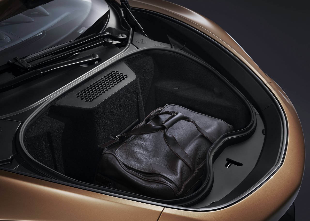 ماكلارين GT 2020 - (21).jpg