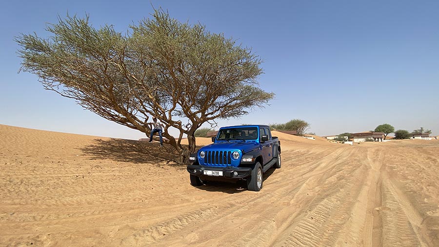 صور تجربة جيب جلاديتور 2020 - 06.jpg