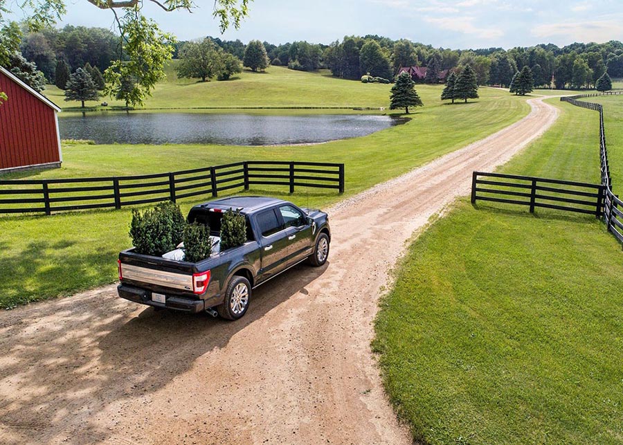 فورد F-150 2021 (15).jpg