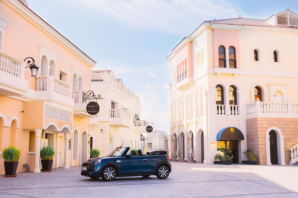 ميني جانبية.jpg