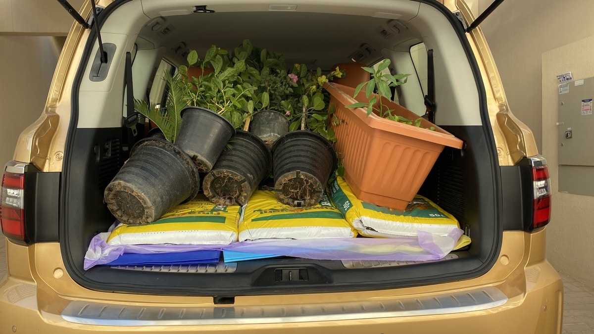 باترول (19).jpg