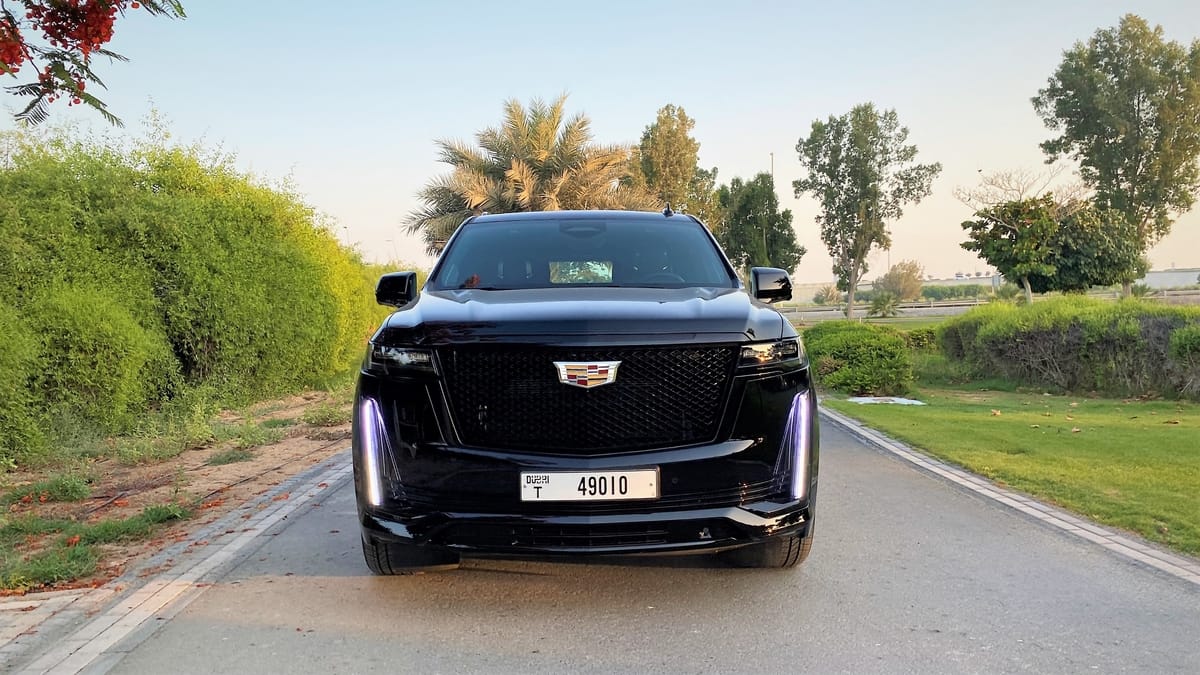 تجربة إسكالايد (7).jpg