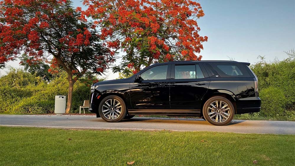 تجربة إسكالايد (9).jpg