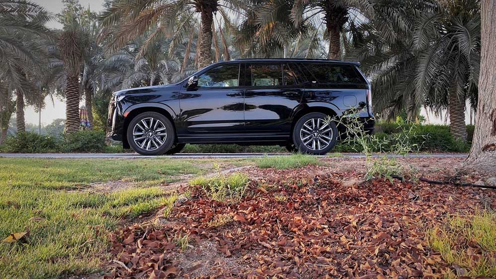 تجربة كاديلاك (21).jpg