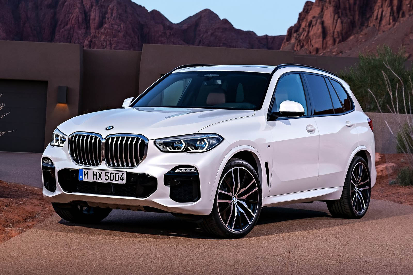  بي ام دبليو X5 2019 (5).jpg